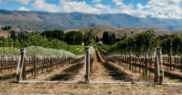 Gibbston Valley, New Zealand